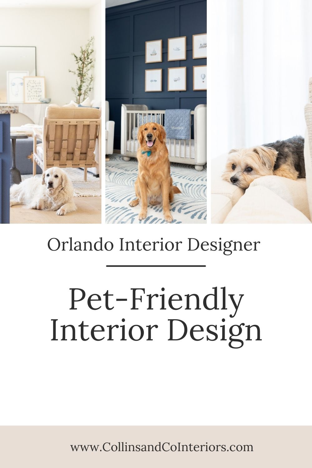 Pet friendly interior design | Orlando Interior Designer Collins and Co.